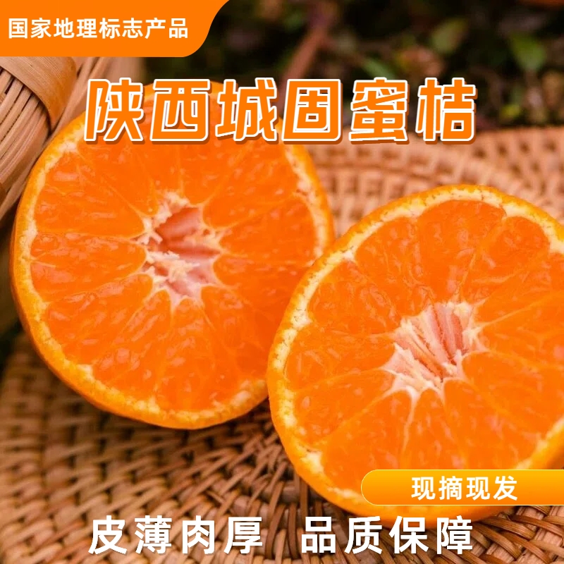 【直播专享】新鲜蜜桔香甜多汁无籽薄皮不打蜡现摘现发