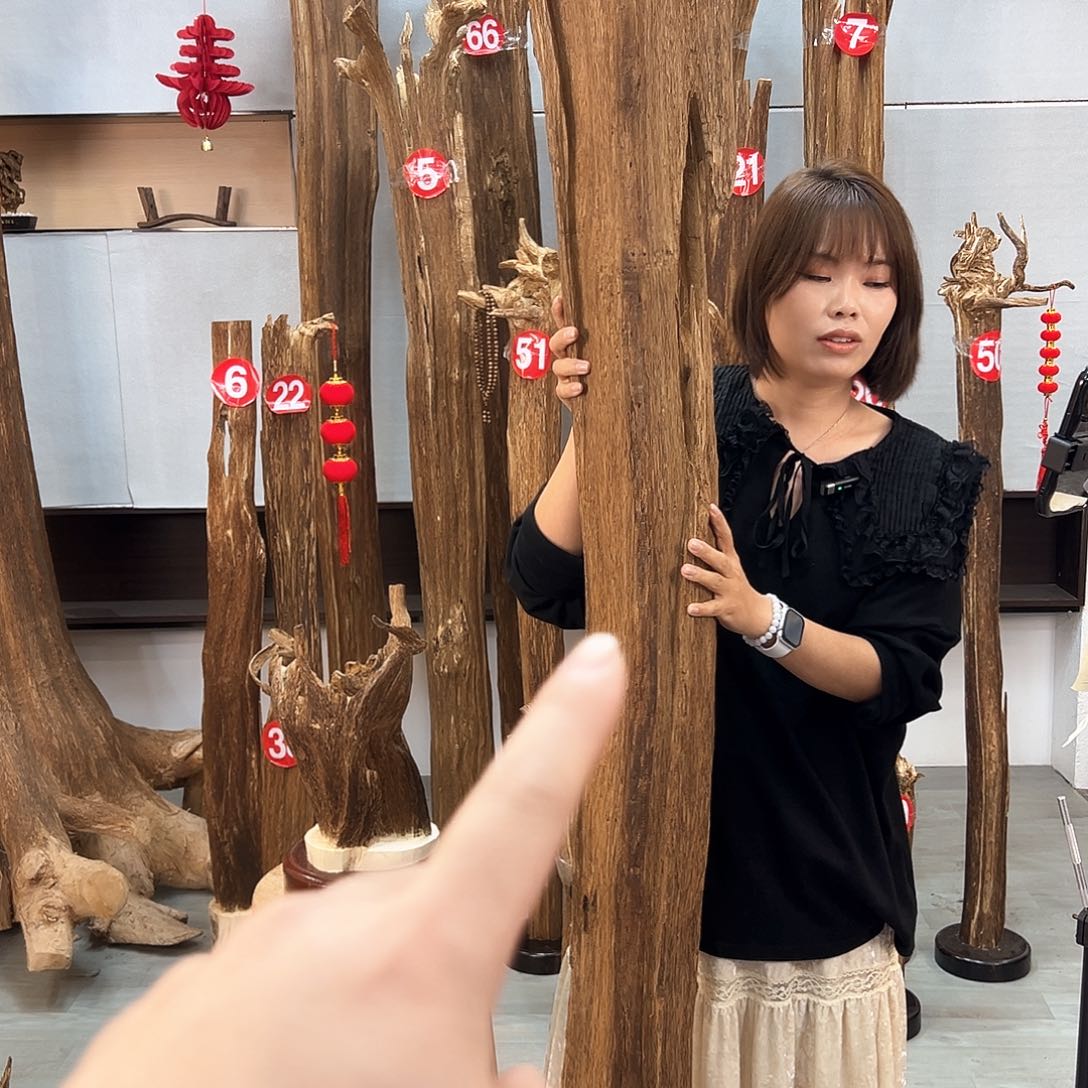 沉香摆件陈*东沉香摆件