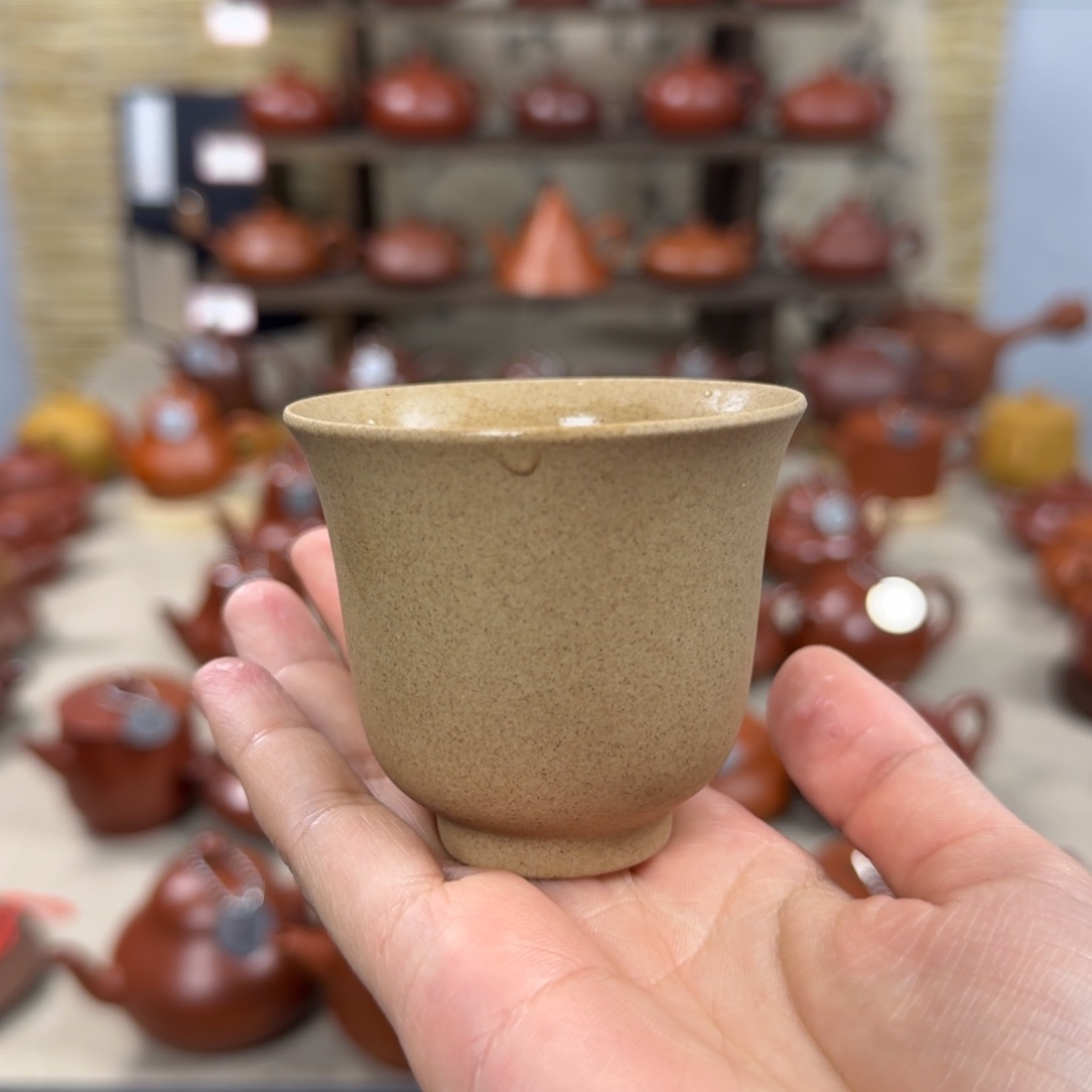 紫砂茶壶不****蔡主人杯70cc