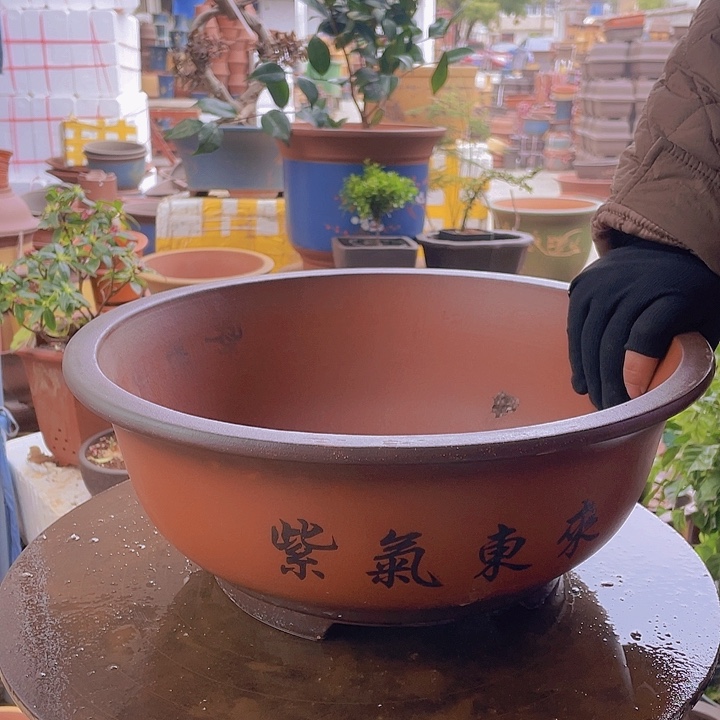紫砂宜兴紫砂大红