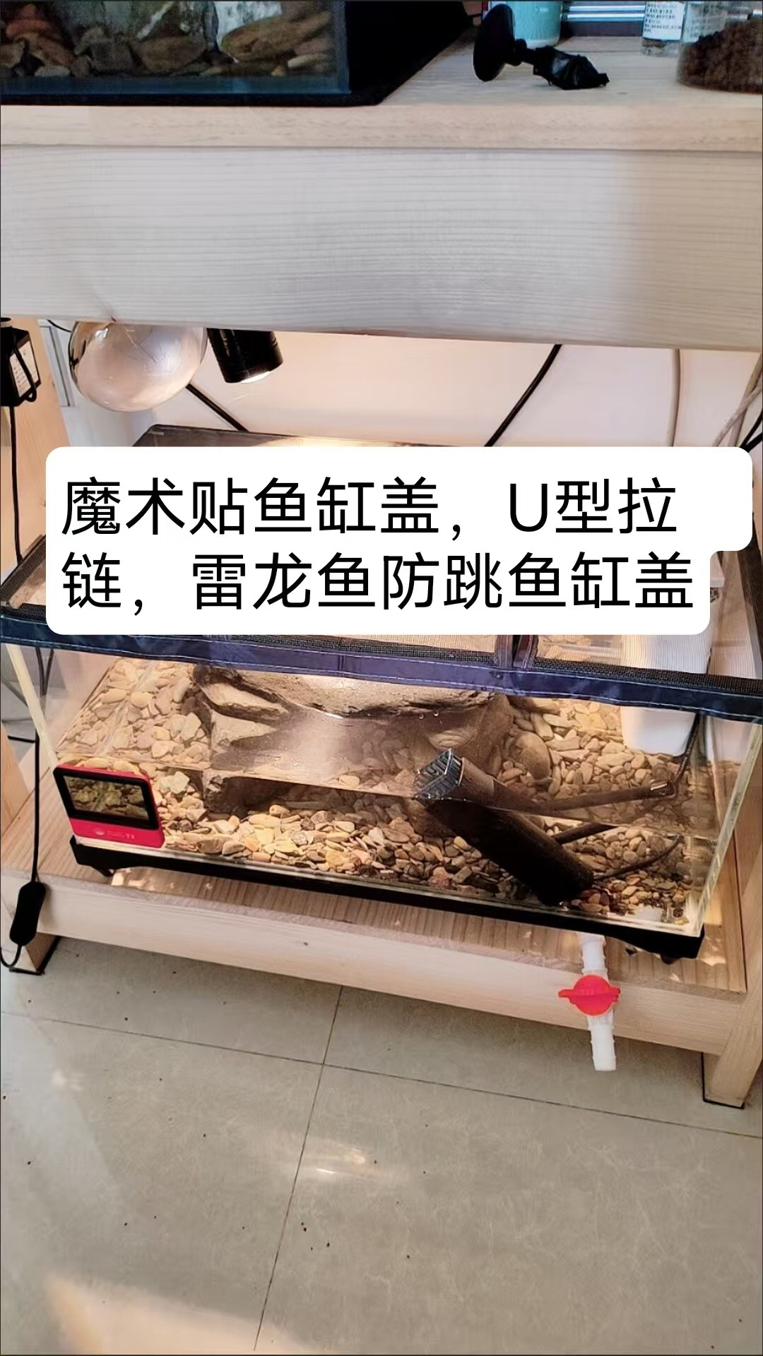 鱼缸防跳网，雷龙鱼鱼缸盖，雷龙防跳网，方便喂食尺寸可定制，高透光