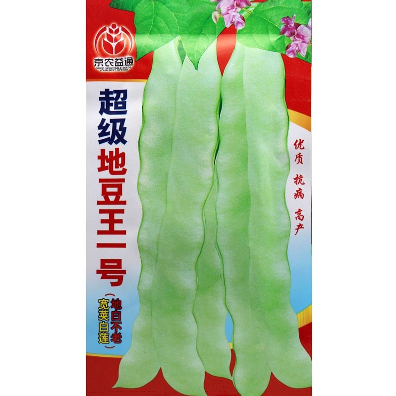 超级地豆王一号种子无架白不老蔬菜种子宽荚白莲四季豆籽