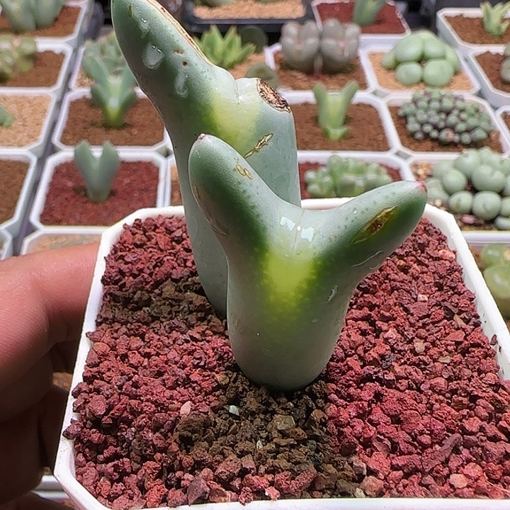 风***生哈哈哈哈哈哈哈哈485