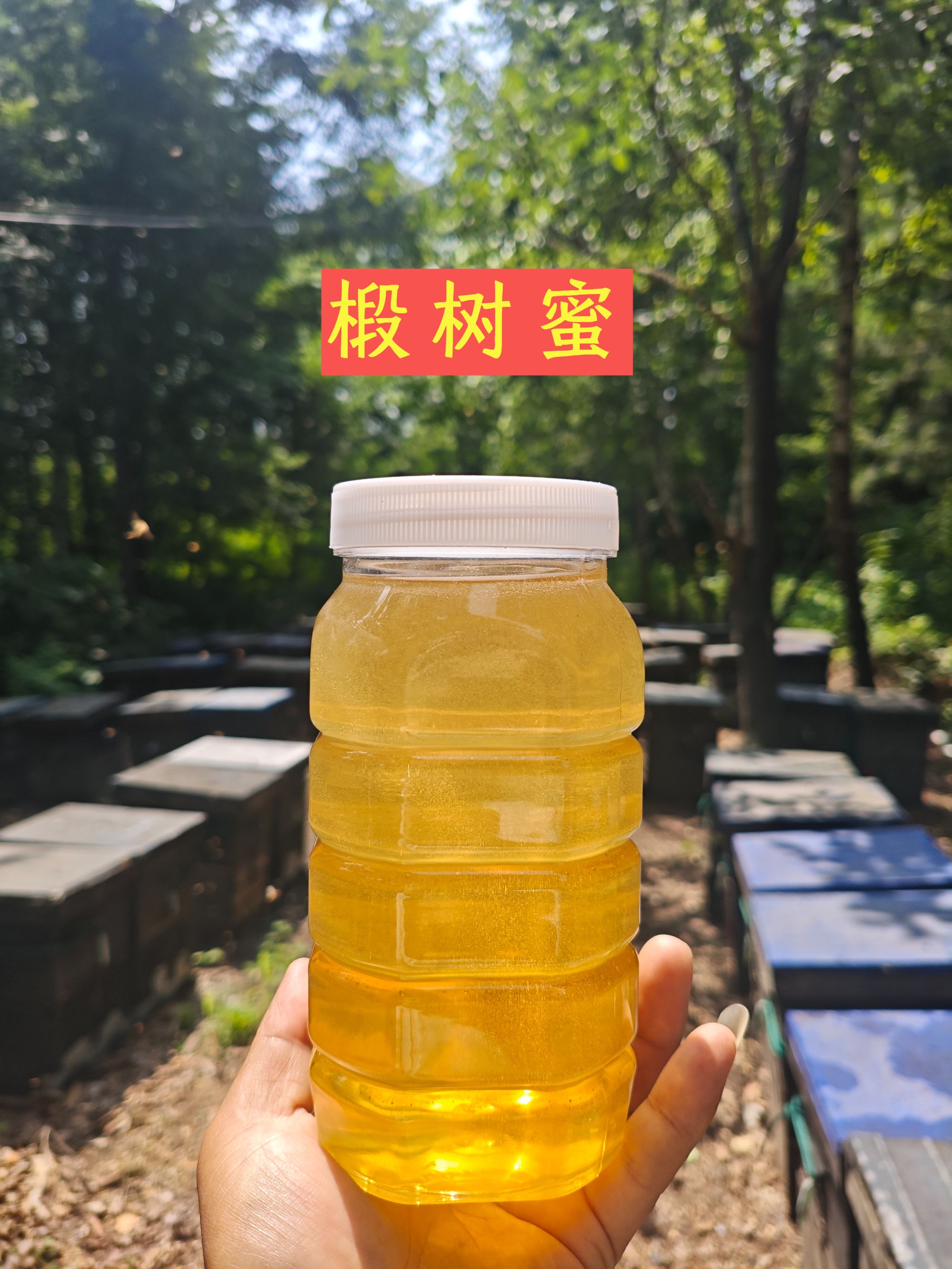 新椴树蜜百花蜜高度原蜜东北土蜂蜜无添加剂包邮