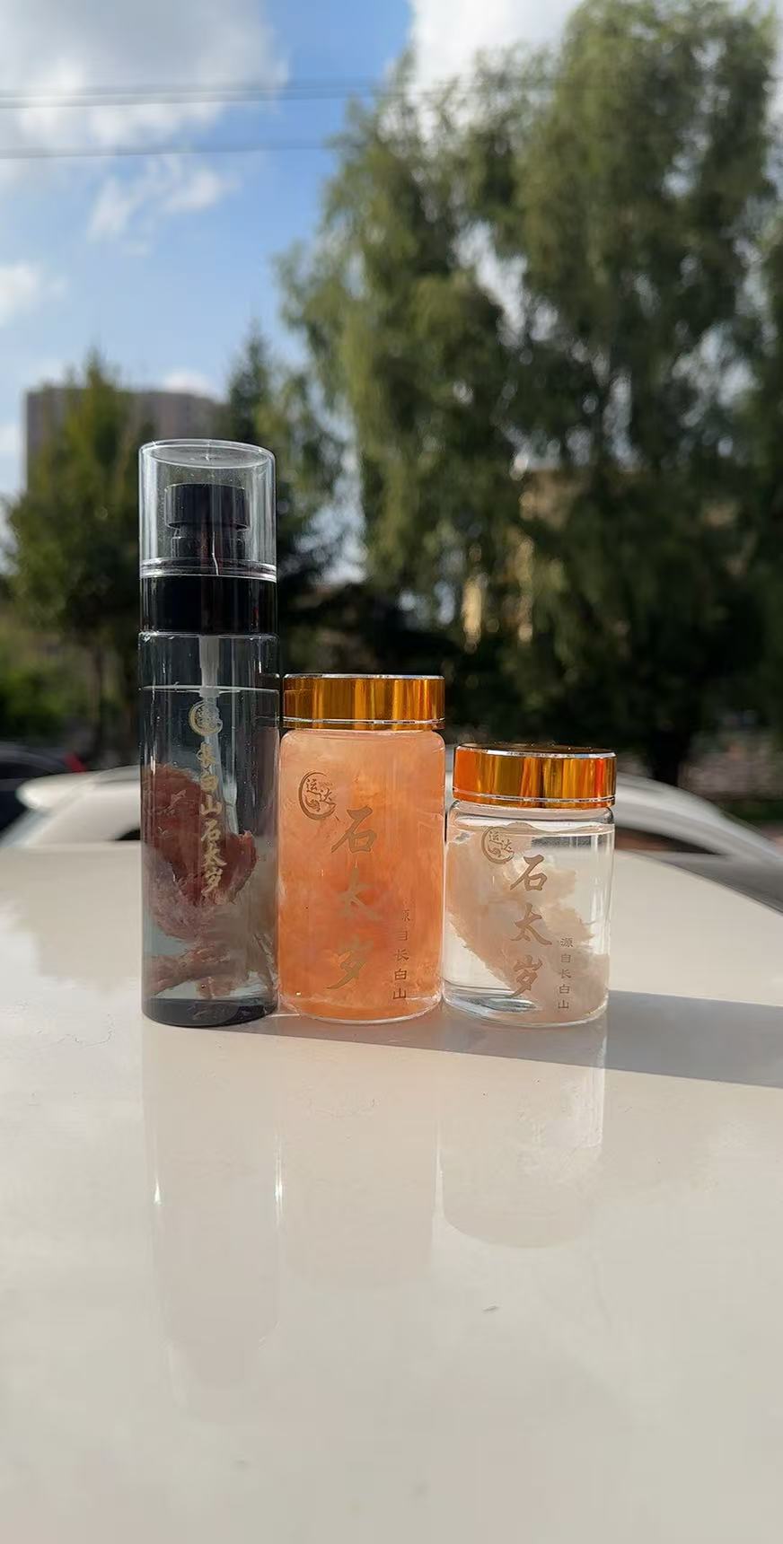 长白山天然野生石太岁 （3瓶组合）