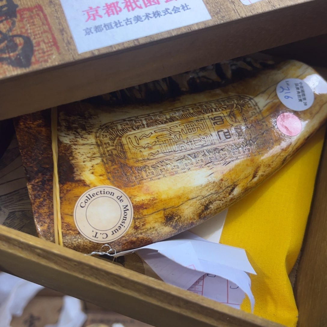 茶宠哈哈哈哈哈哈哈哈哈哈哈哈哈