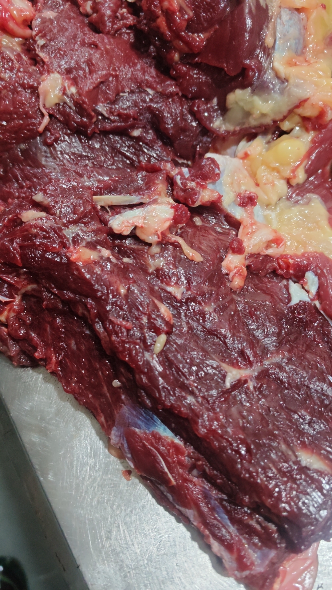 云南本地毛驴肉，新鲜毛驴肉，