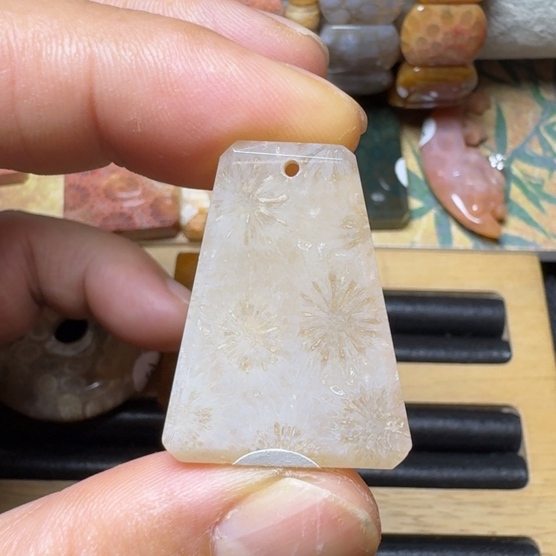 硅化玉纯天然有机玉石 保真色未镶嵌