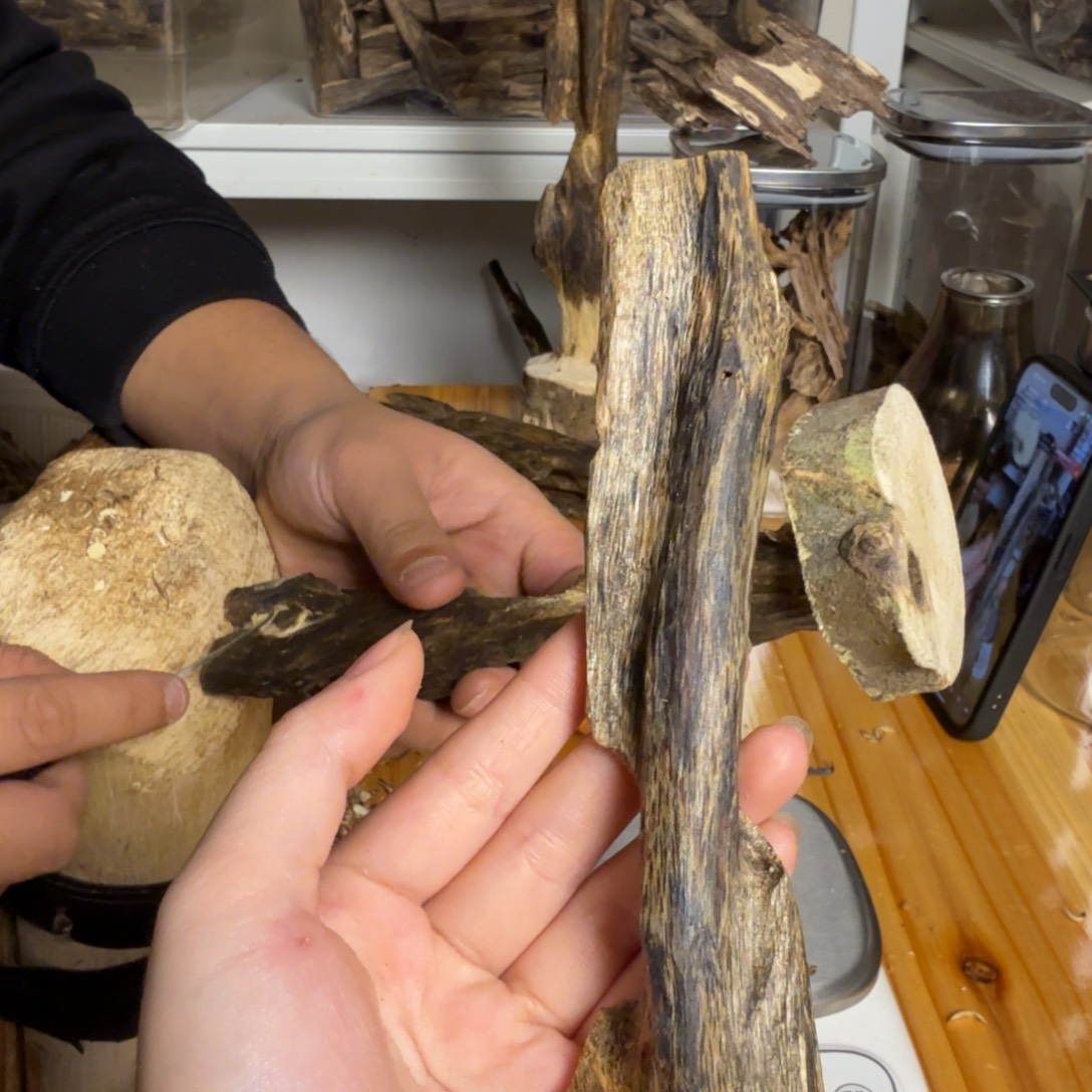 沉香白奇虫漏香31克