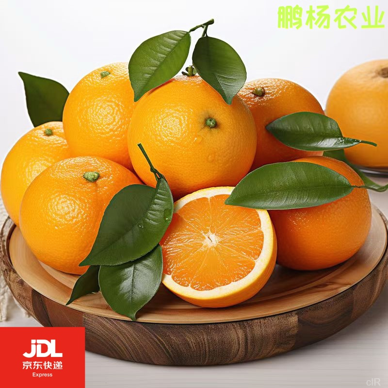赣南脐橙新鲜水果酸甜可口应季水果年货5斤礼盒装（京东包邮）