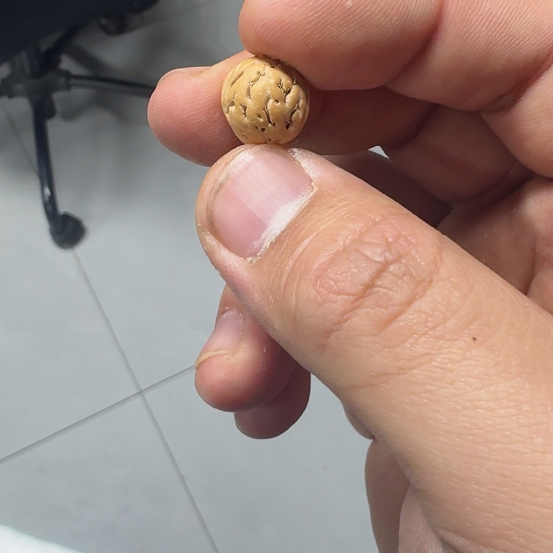 对***歌桃核吊坠盘锦奶豆