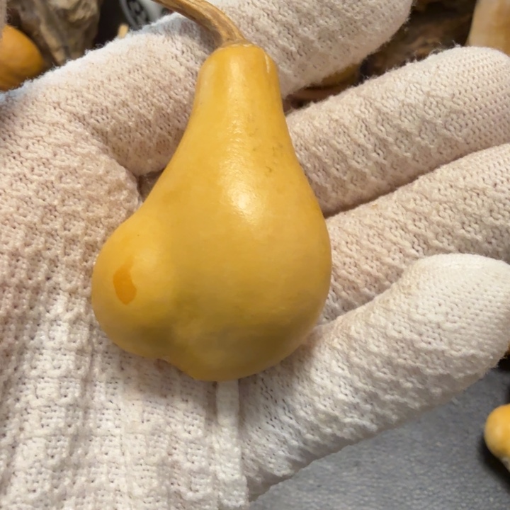 用***766666666666667777667