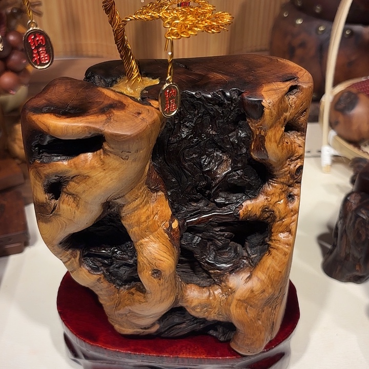 枣木枣木枣木枣木枣木