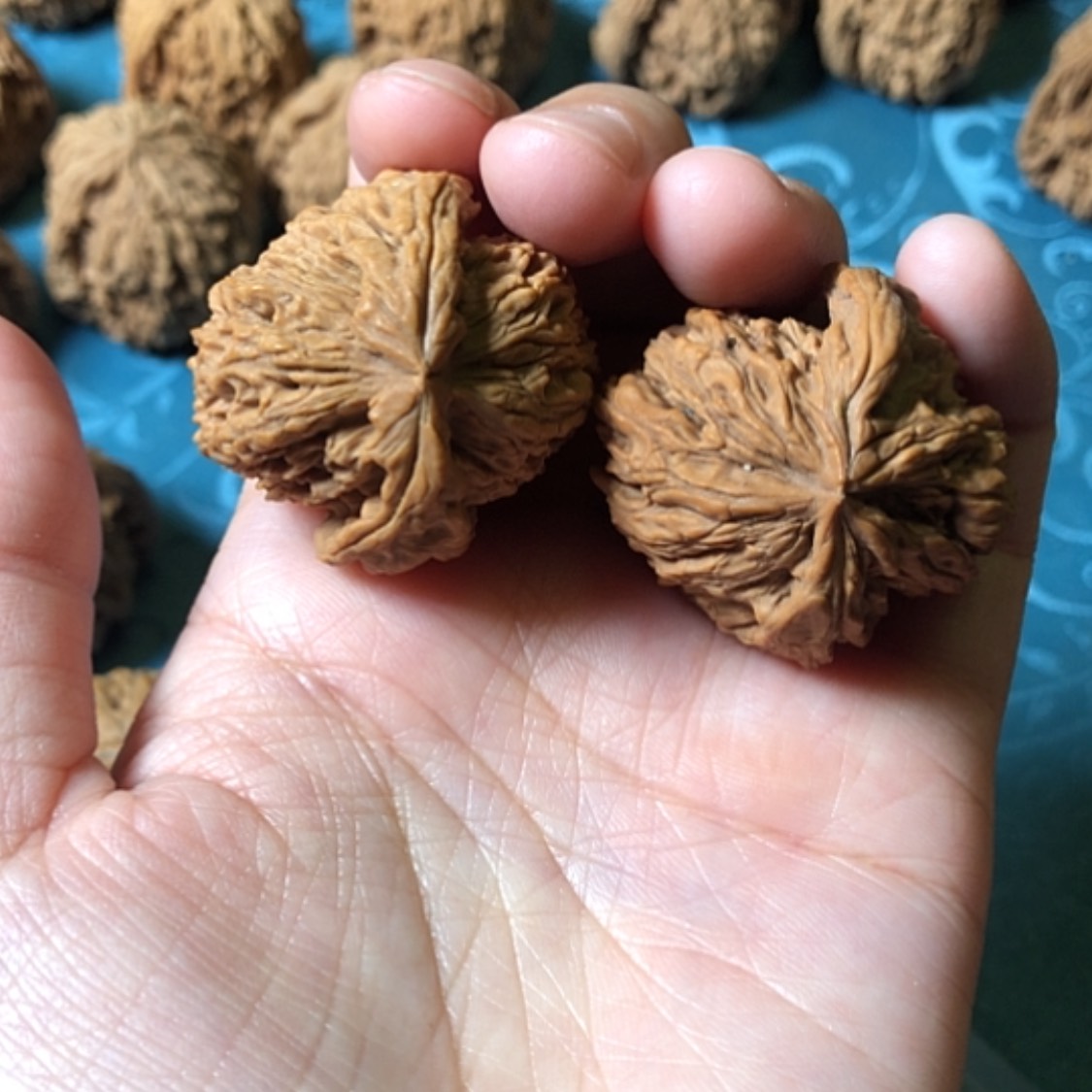 【闪购商品】文玩核桃把件老*机一代将