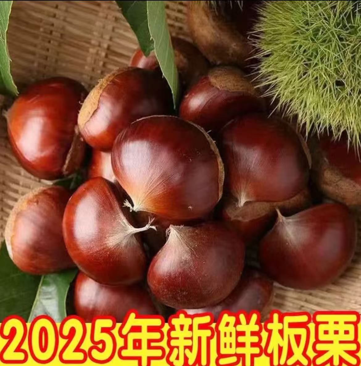 2025大板栗新鲜现摘板栗大果粉糯香低糖老人孕妇可食难剥皮送栗爪