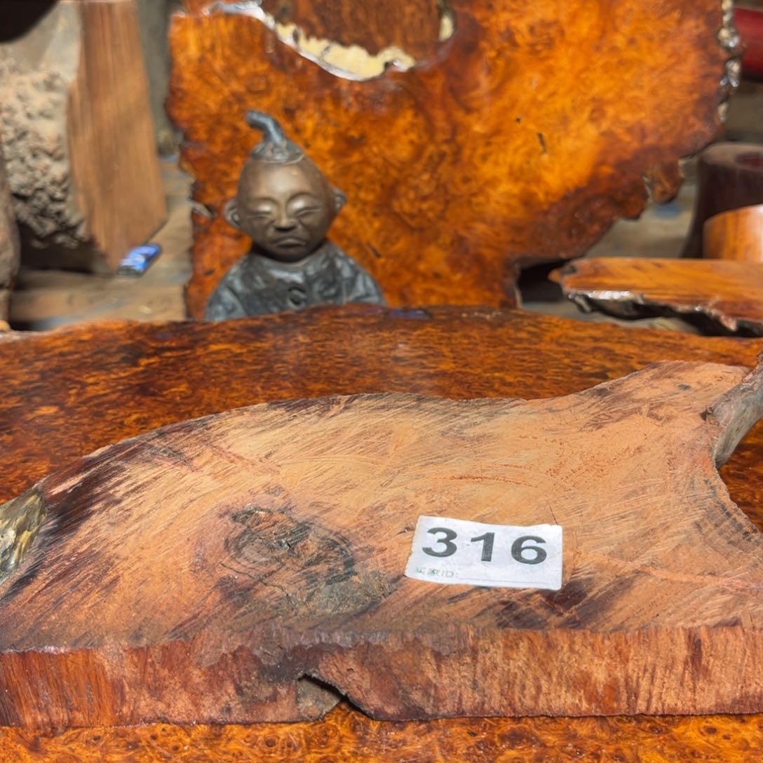 大果紫檀（缅甸花梨）