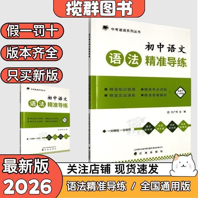 新版中考速递初中语文语法精准导练凡广伟辽海出版社一本全国通用