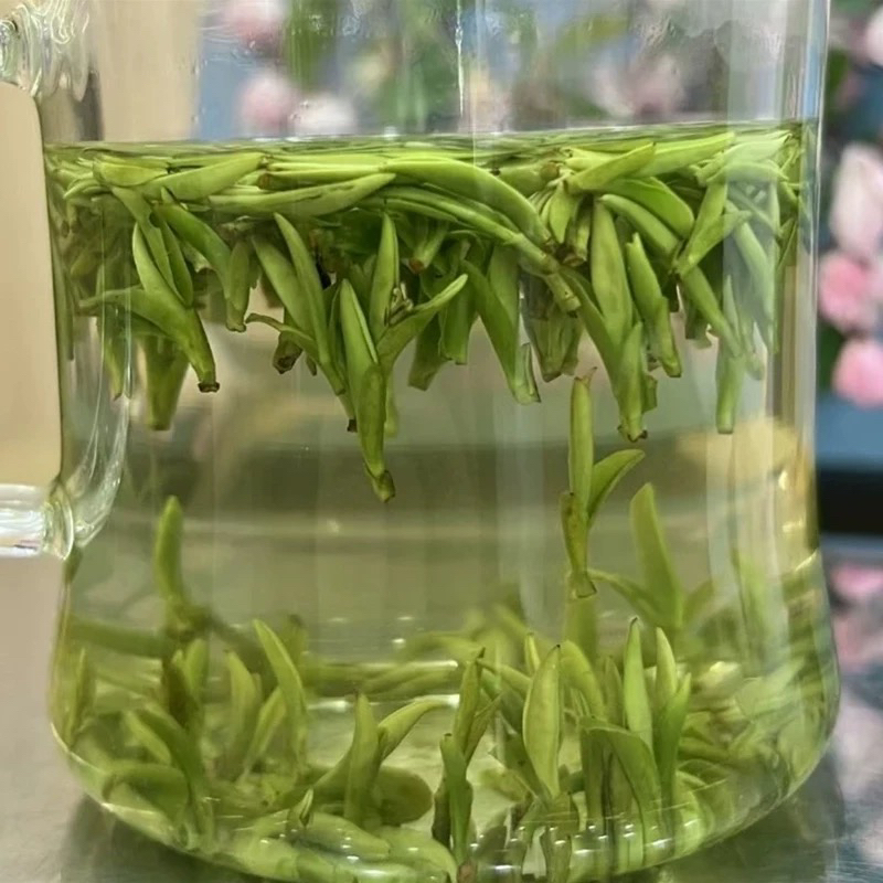 原产地茶小兰花绿茶今年新茶2025年新茶