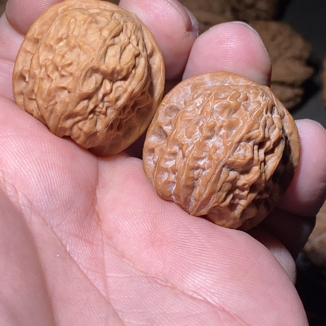 文玩核桃吊坠太行元宝