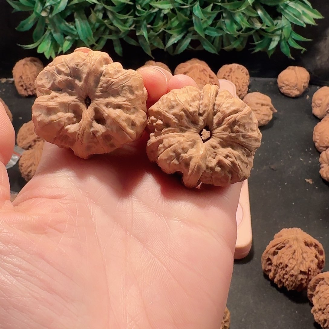 全品蛤蟆头狮子头43