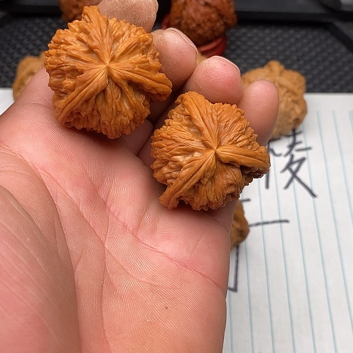 把件核桃拼接白狮子12