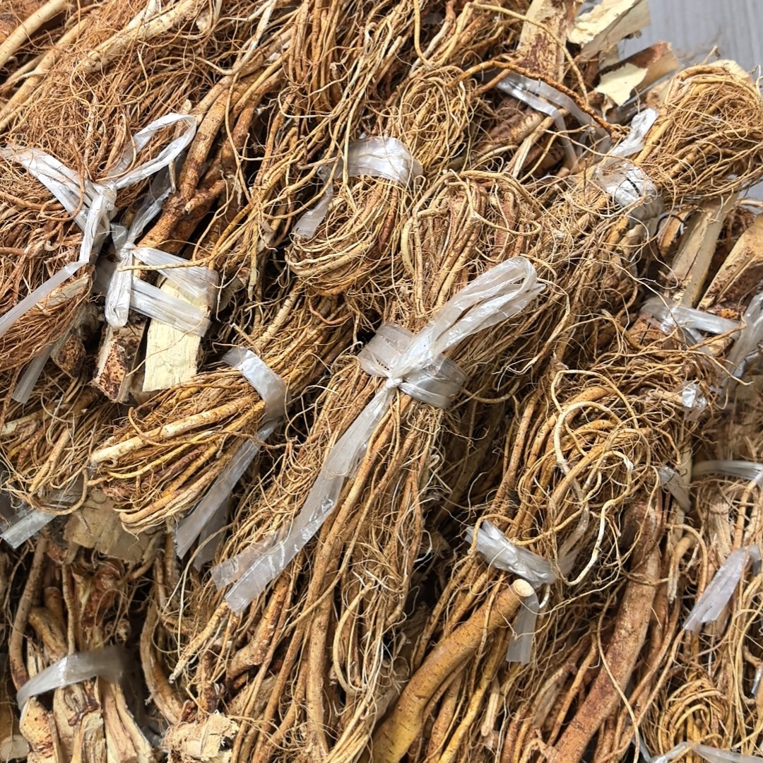 （五指毛桃）特产干货