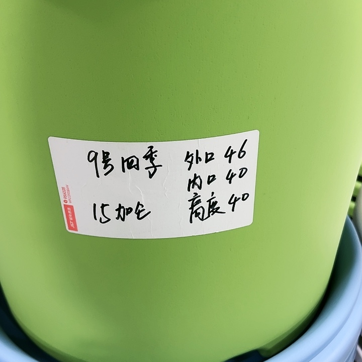 特价9号四季口46高40白色无托2个