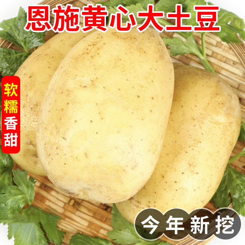 恩施高山大土豆农家种植正宗黄心洋芋新鲜蔬菜蒸煮士豆整箱包邮