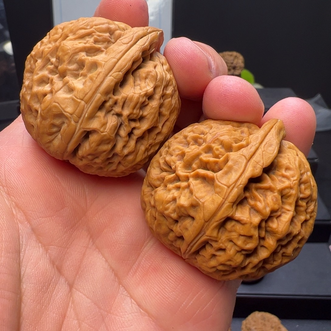 文玩核桃吊坠双龙戏珠41mm