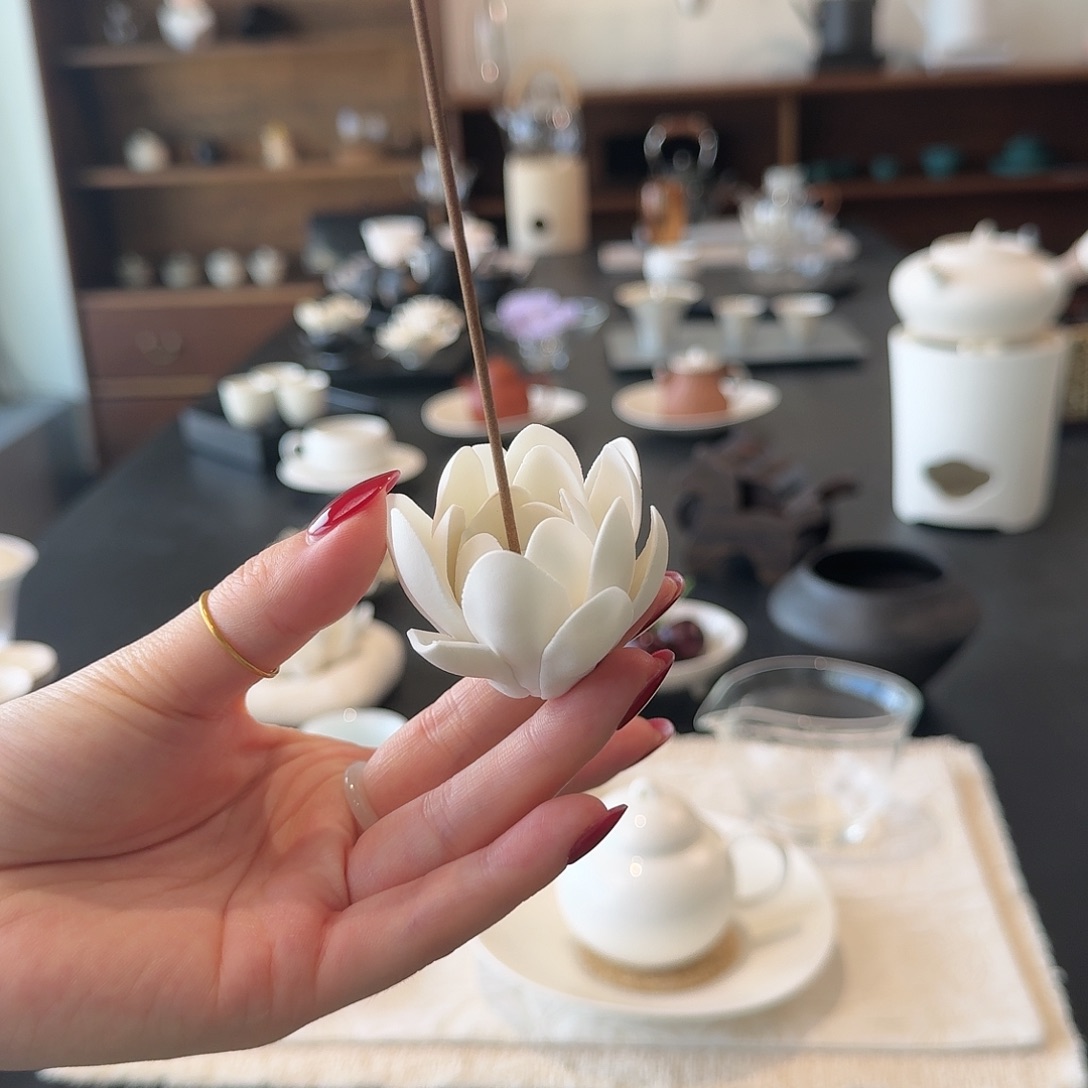 开播福利 小莲花香插