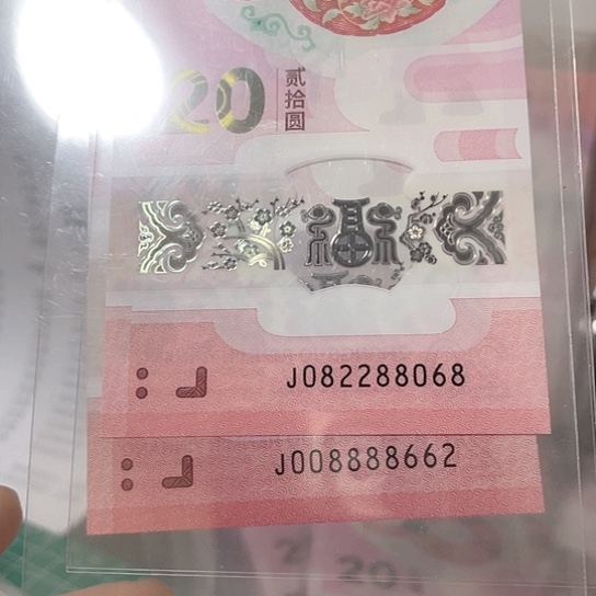 塑料年**鱼2025年蛇钞如意所示