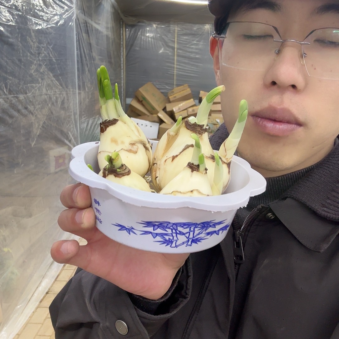 惜***_全部花苞水培水仙一盆