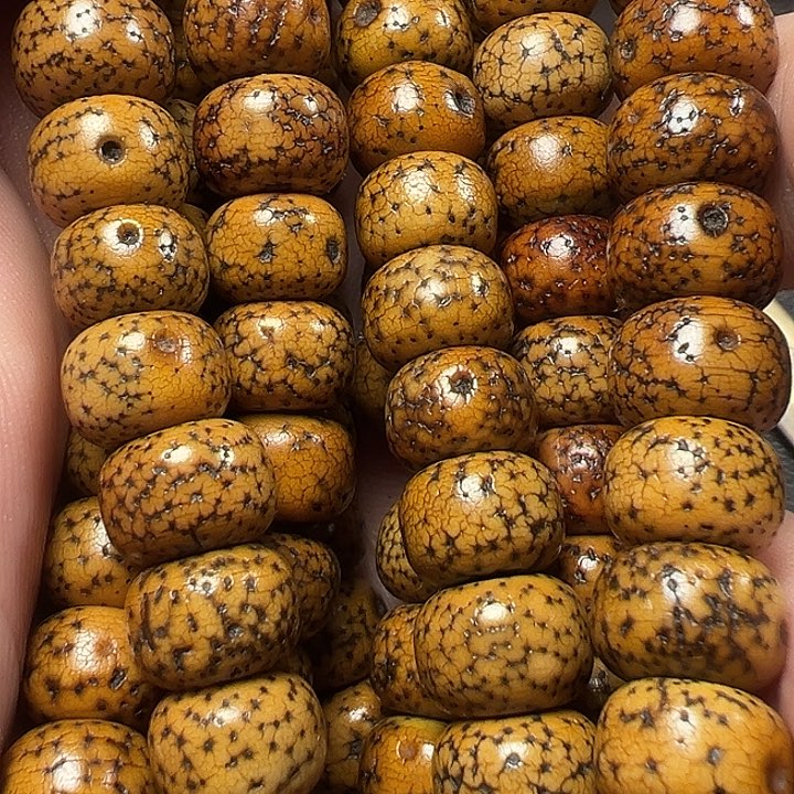 我们都是在这里看到的哈
