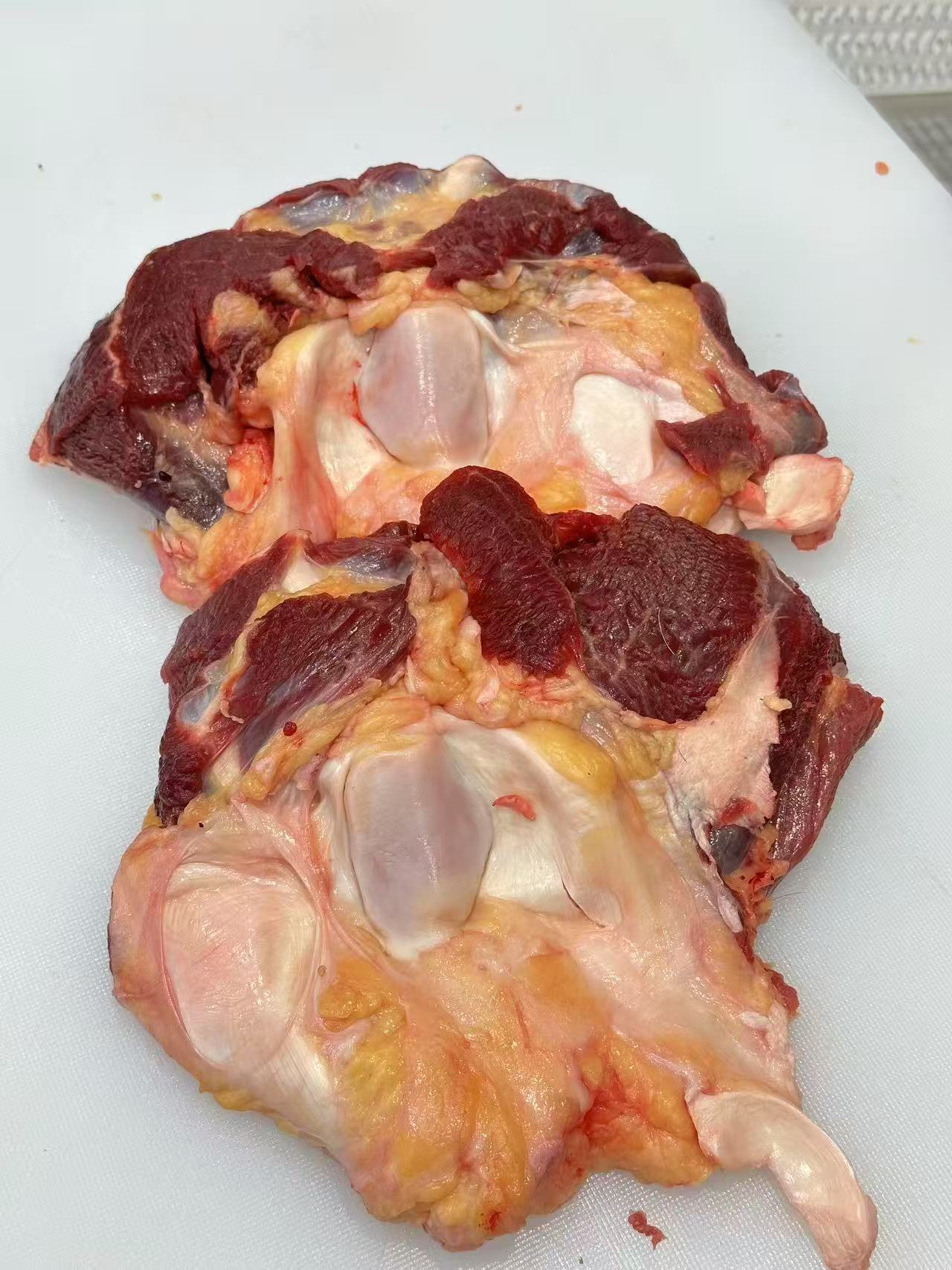 【窝骨】1呼伦贝尔多肉多筋牛窝骨新鲜黄膘膝盖骨网红吃播内蒙草地