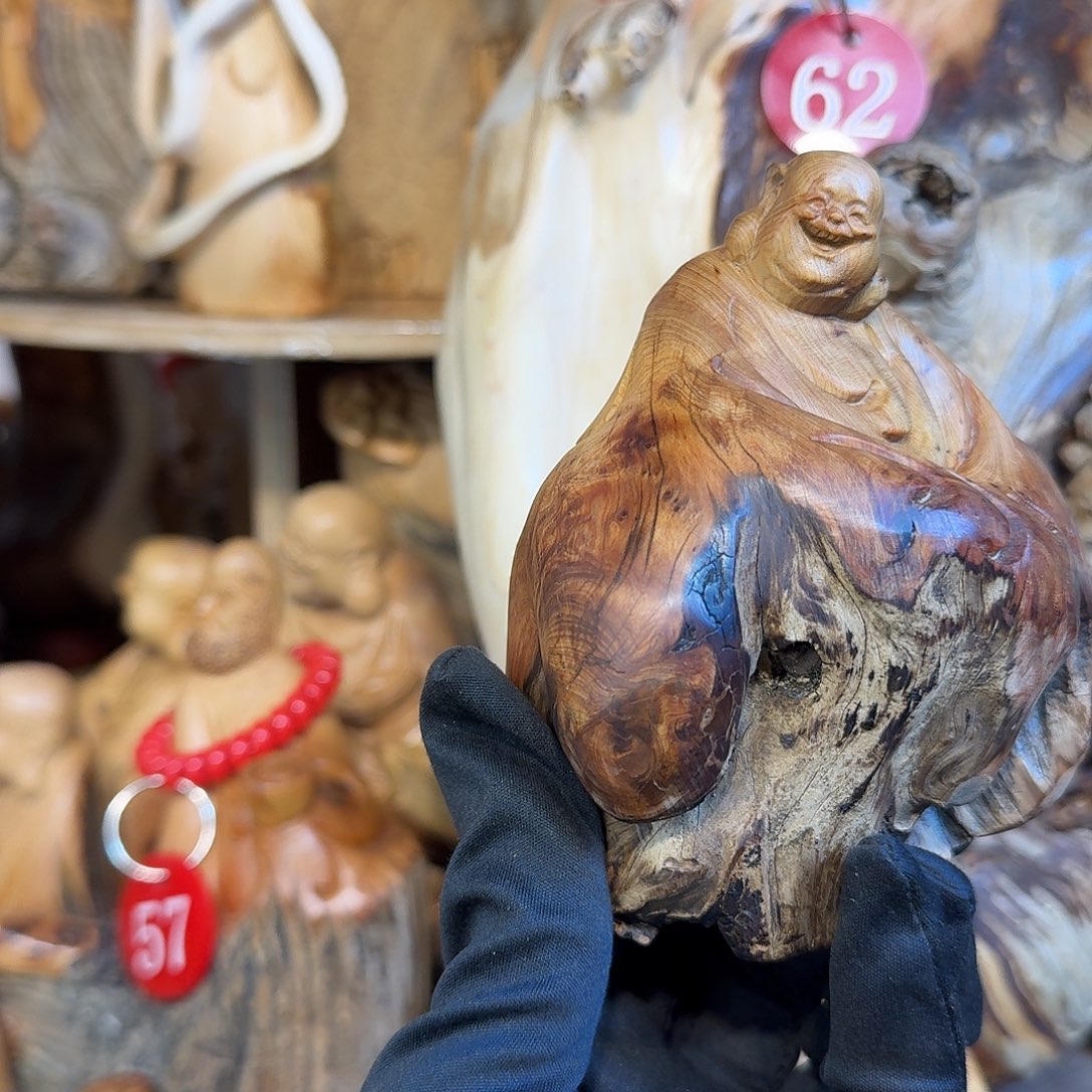 柏木（崖柏）66666666666