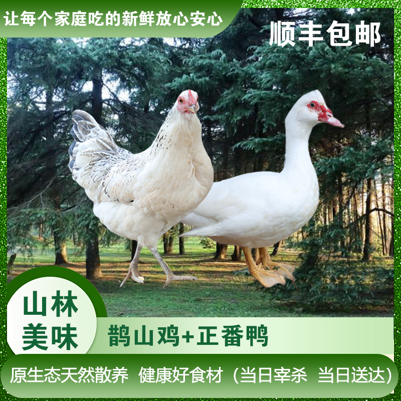 【鹊山鸡＋正番鸭】山林天然散养正宗土鸡鸭2只装  现宰现发新鲜土味