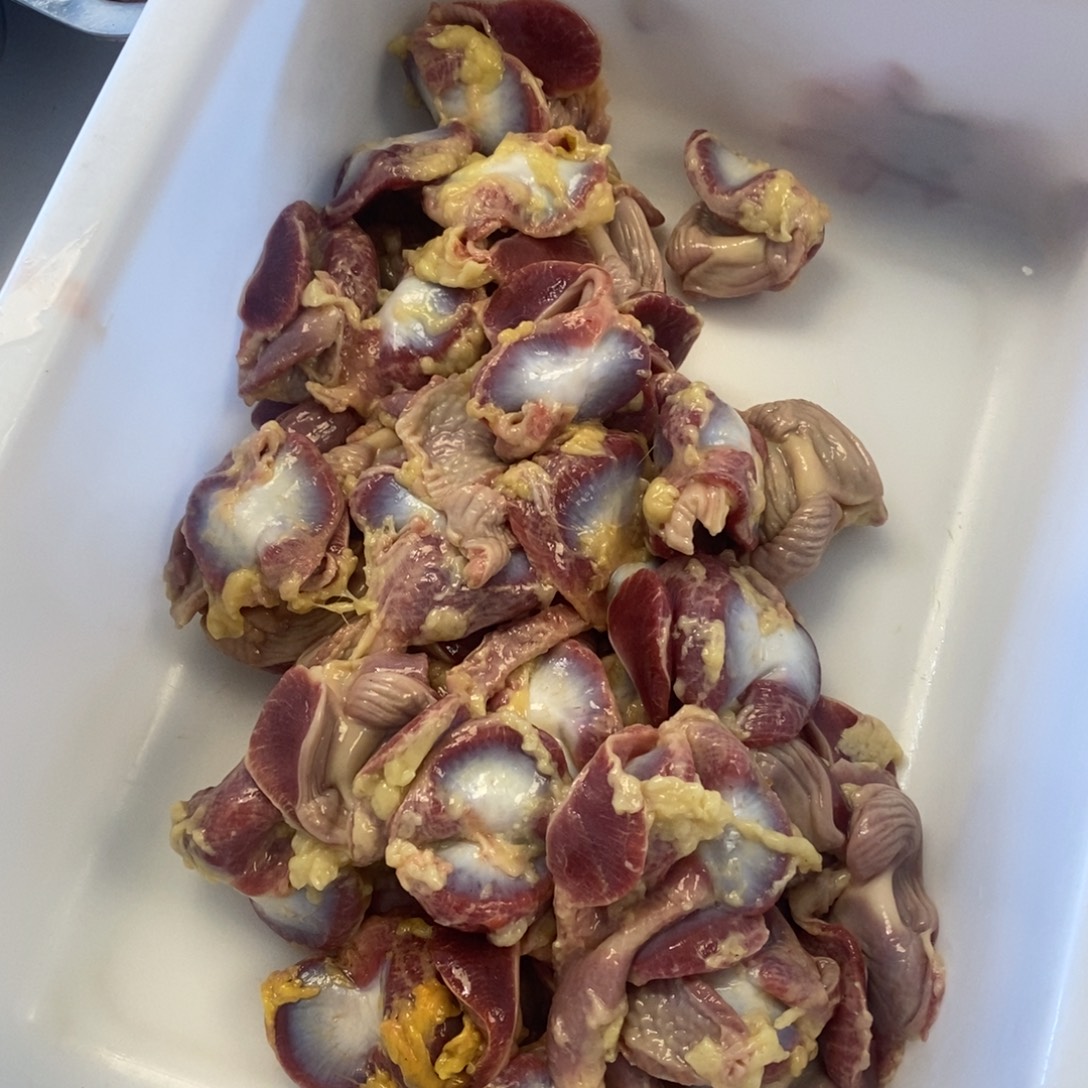 30天中国大陆包装鸡珍