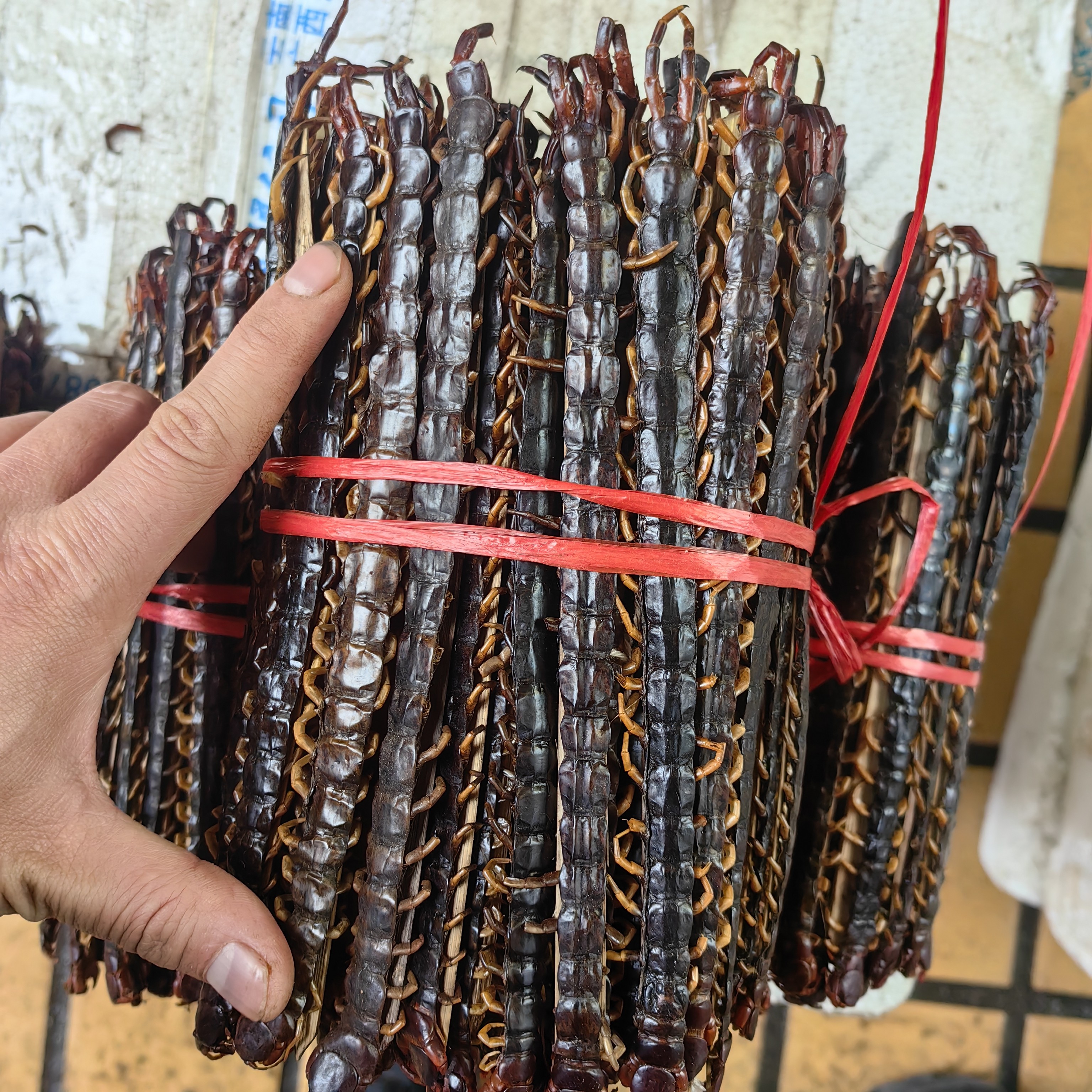 包邮蜈蚣干规格15公分以上蜈蚣干整条蜈蚣红头蜈蚣一条
