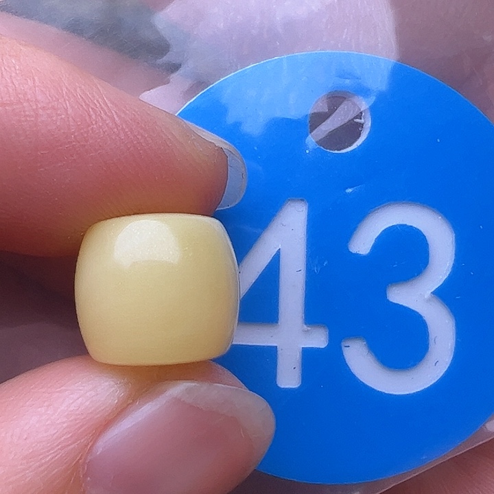 蜜蜡裸石未镶嵌花粉11m m