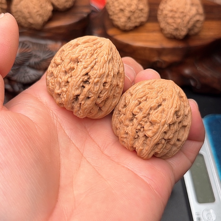 桃核把件核桃密纹儿