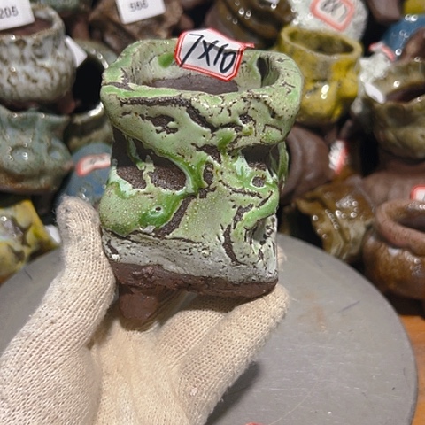 粗陶花盆，现在都不一样