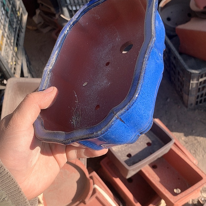 紫砂淘宝的时候买点便宜