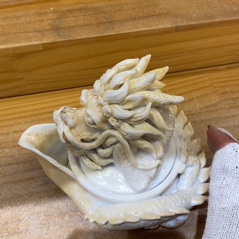 哈咯哦有咯咯哦咯咯哦哦啦啦