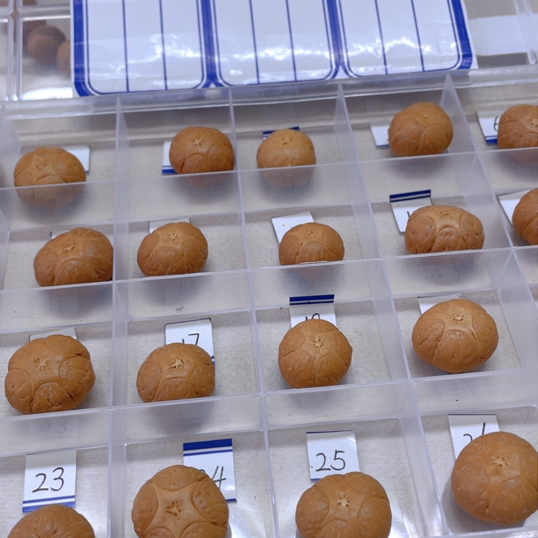 凤眼菩提手串空*格