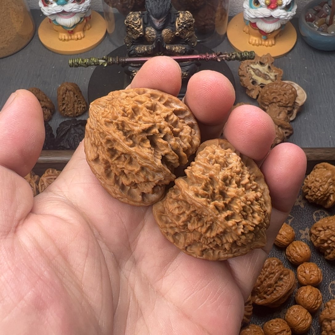 43满天星全品111111