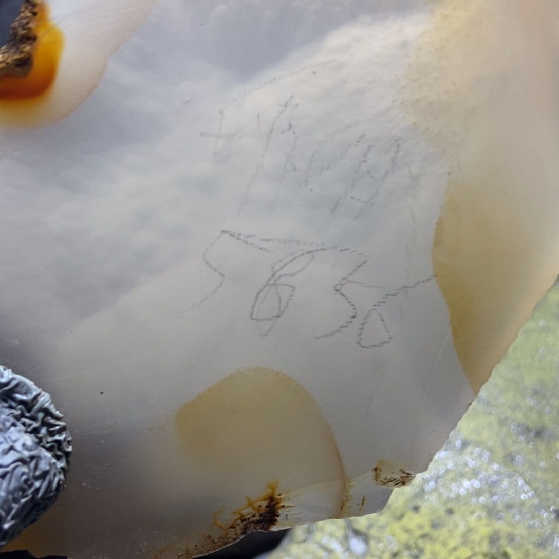 邱***姐定制玛瑙私人定制56口工费不退