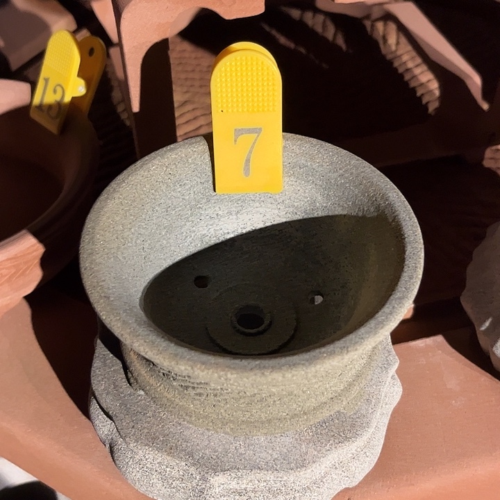 阳***行贝壳手串/手链花盆