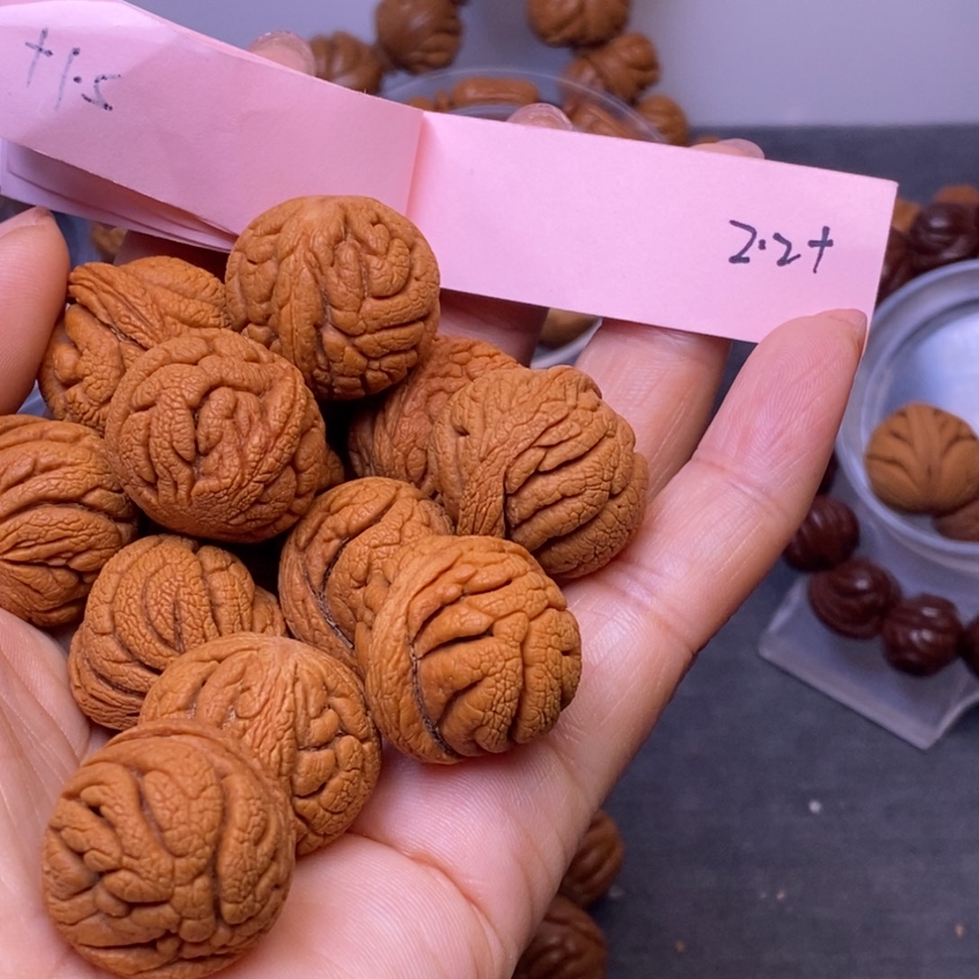 秦岭龙纹桃核13颗