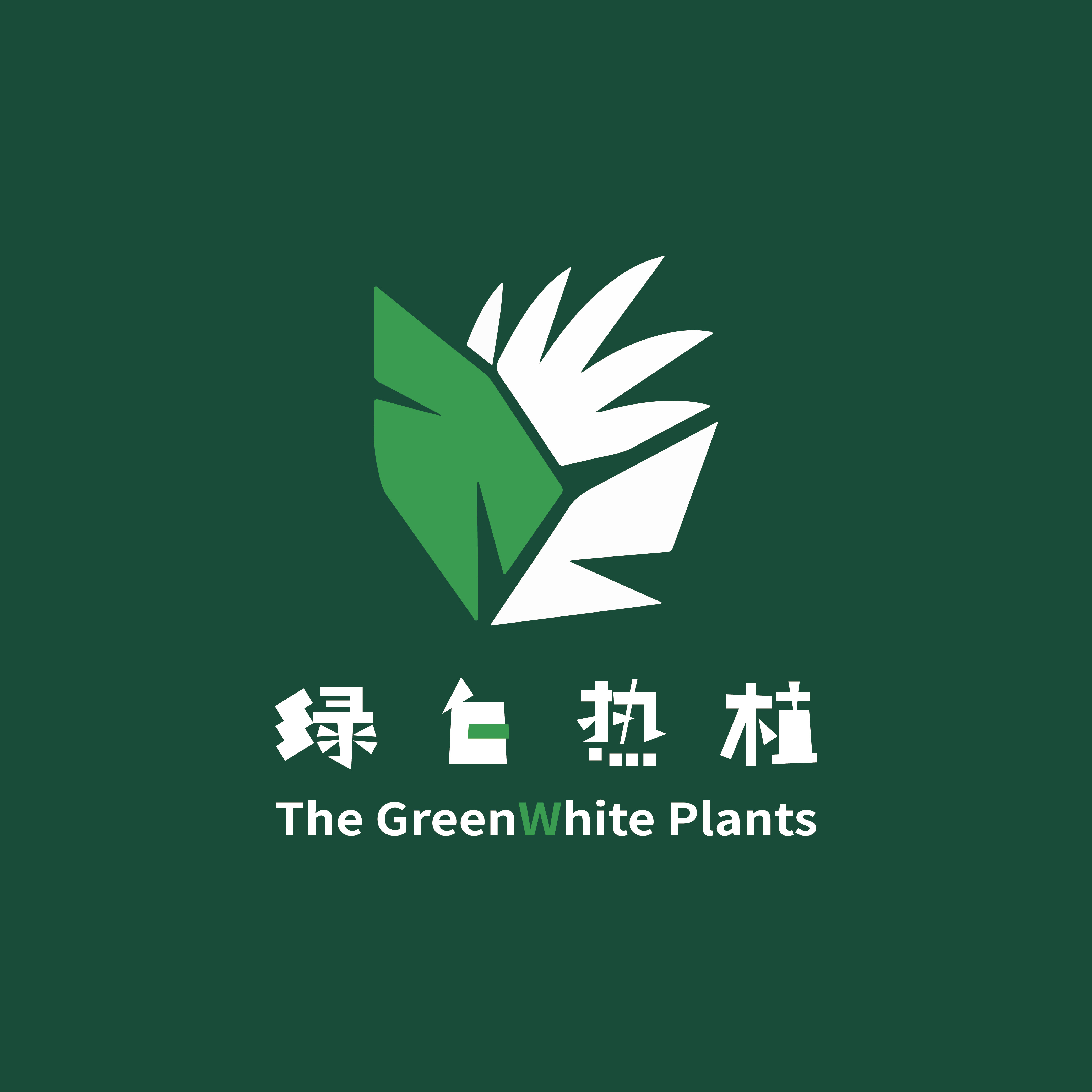 【直播间一物一拍链接】室内绿植观赏热植