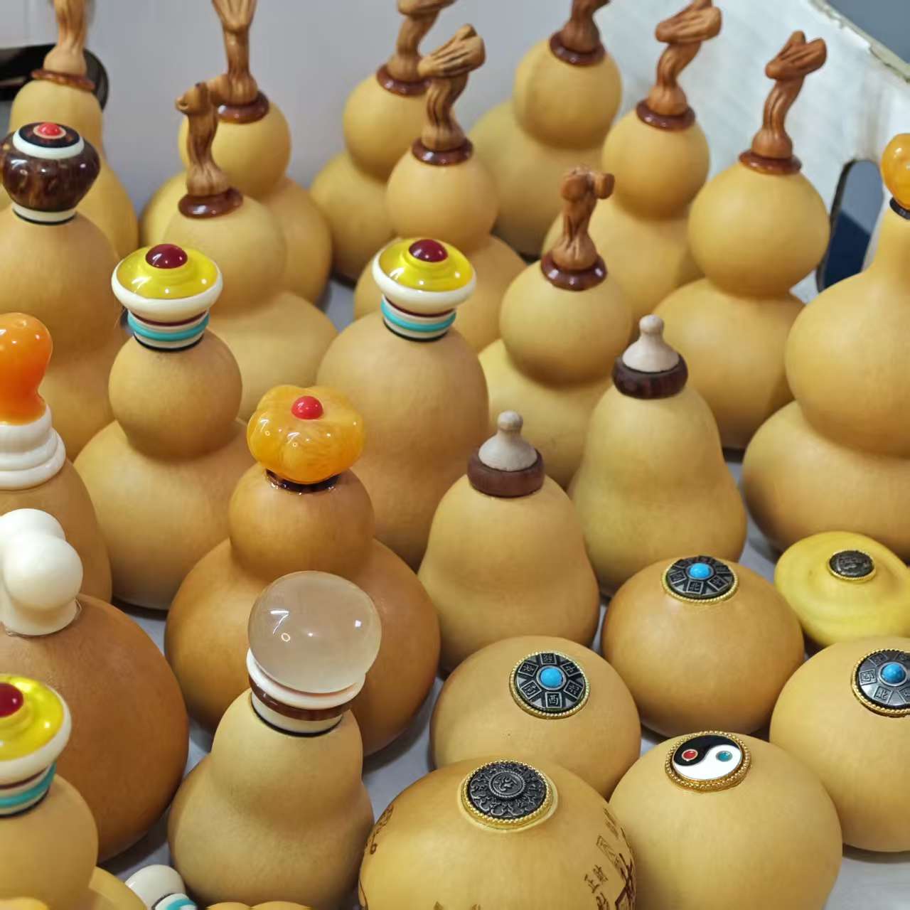 葫芦专拍（以直播间讲解为准，请勿私拍)